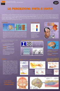 Diapositiva 1