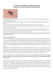 La febbre da virus Zika è una malattia virale acuta trasmessa da