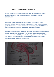 Stress e infiammazione : nervo vago, il sistema antincendio veloce e