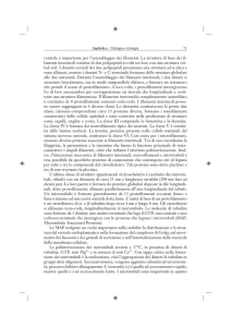 centrale è importante per l`assemblaggio dei filamenti. La