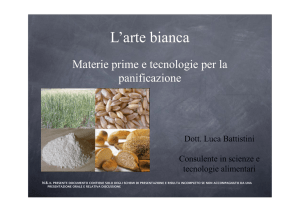 Materie prime e tecnologie della