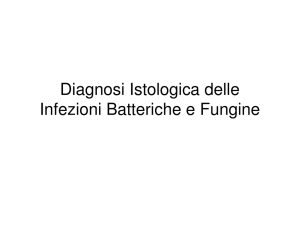 Passega Sidler E. Diagnosi istologica delle infezioni batteriche e