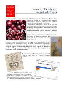 Un mare color rubino - "Liceo Campanella"