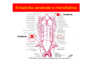 la prevenzione delle patologie neurologiche dell`infanzia 4