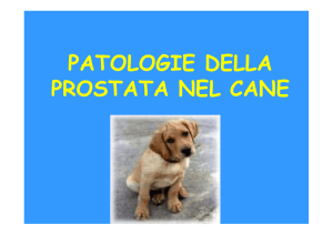 prostatiti