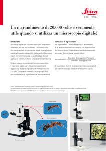 Un ingrandimento di 20.000 volte è veramente utile quando si
