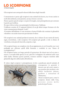 LO SCORPIONE