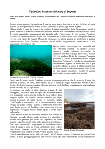 Articolo di approfondimento in pdf