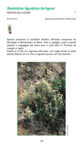 Valori e rarità della flora ligure