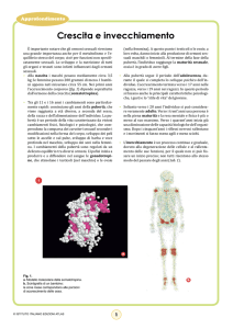 file  - Istituto Italiano Edizioni Atlas