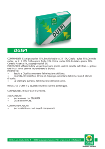 COMPONENTI: Gramigna radice 15%, Betulla foglie es 3:! 15