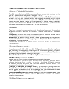 Programma di Biofisica e Fisiologia I