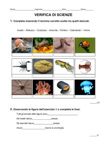 VERIFICA DI SCIENZE 1. Completa inserendo il termine corretto