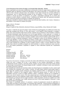 3.4.b Colorazione di uno striscio di sangue con il metodo May