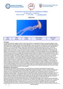 Visualizza e stampa la "SCHEDA TASSONOMICA" in
