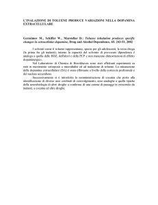 la inalazione di toluene produce variazioni nella dopamina