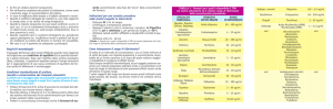 2012 4 20 monitoraggio terapeutico dei farmaci