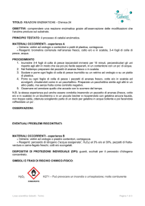 Chimica 24 - Reazioni enzimatiche