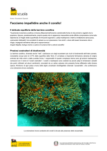 Facciamo impallidire anche il corallo!