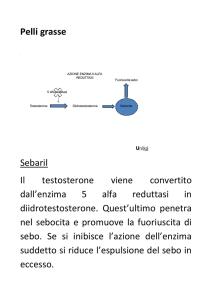 diapositve meccanismi