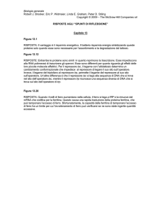 Capitolo 13 - Ateneonline