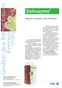 Fiche I XP