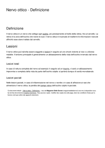 Nervo ottico - Definizione
