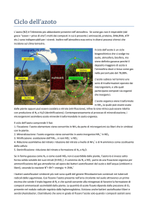 scarica il file pdf