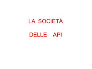 Diapositiva 1