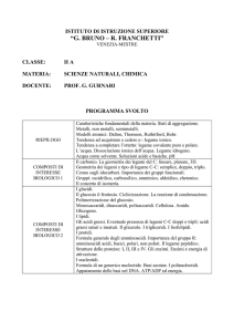 istituto di istruzione superiore - i.i.s. bruno