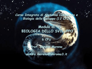 Biologia dello Sviluppo