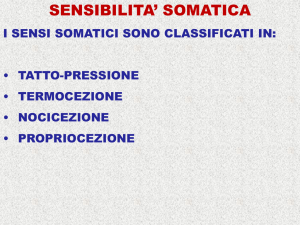 Presentazione di PowerPoint