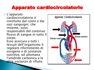 Apparato Cardiocircolatorio