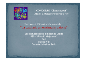La catalasi: un enzima in azione