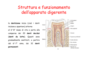 scarica PDF