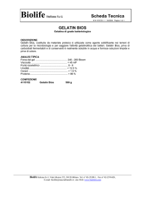 Scheda Tecnica - Mascia Brunelli