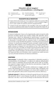 Ghiandole salivari maggiori (parotide, sottomandibolare e