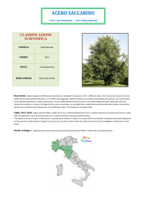 Scarica la versione pdf
