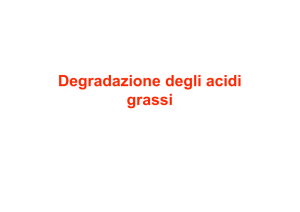 14-Degradazione acidi grassi