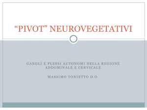 PIVOT NEUROVEGETATIVI