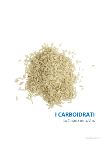 I CARBOIDRATI