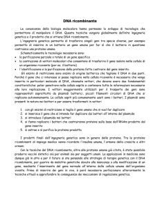 DNA ricombinante: l`ingegneria genetica