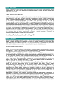 Bruno, il processo