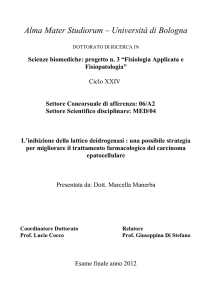 - AMS Tesi di Dottorato