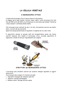Dispense microscopia botanica