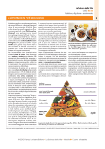 L`alimentazione nell`adolescenza - Zanichelli online per la scuola