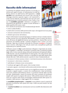 Raccolta delle informazioni:raccolta delle informazioni