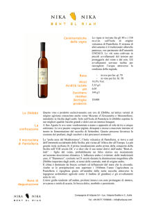 Scheda prodotto in PDF
