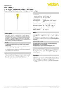 Data sheet - VEGAFLEX 81 - 4…20 mA/HART