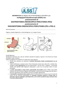 informativa peg